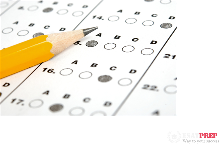 Bài thi SSAT có những gì?  1