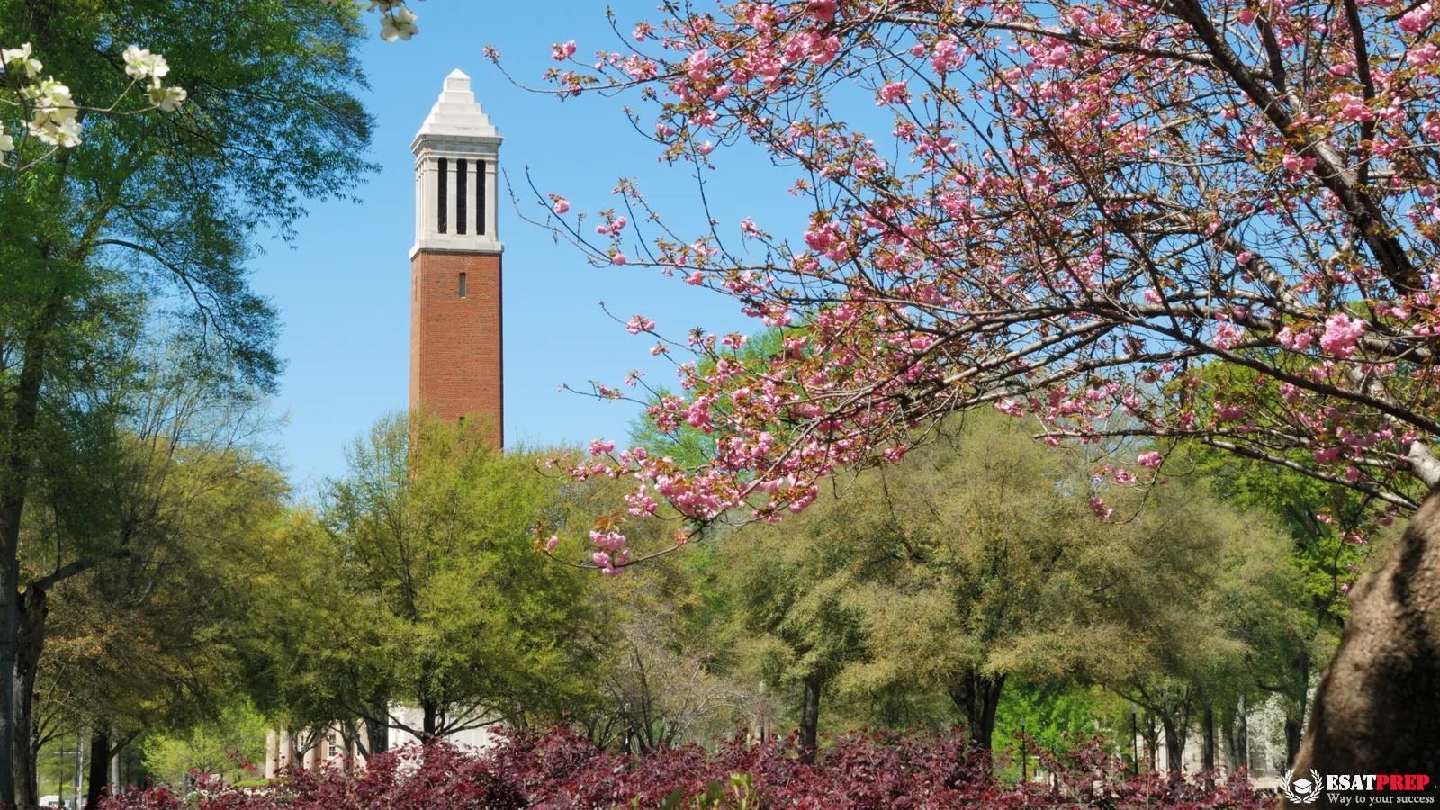 Alum ra mắt mô hình dịch vụ lưu trú tại các thành phố đại học, khởi đầu ở Alabama 1